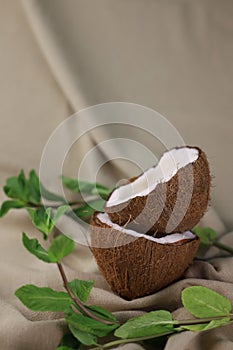 tropical ripe coconut halves with white flesh and green mint leaves on a light beige fabric. for banners, screensavers, postcards