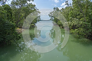 Tropical river in the jungle