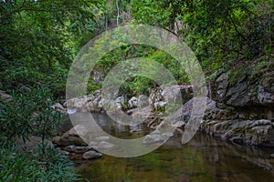 Tropical river in jungle