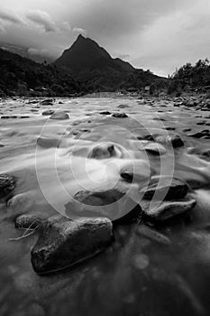 Tropical river and mountain in black and white