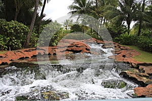 Tropical river rocks