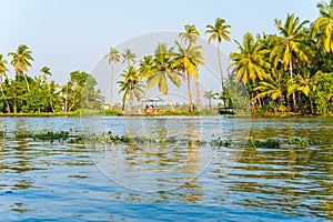 Tropical river scenery in Alleppey, India