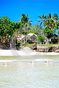Tropical Rocky white sand beach with palms