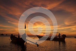 Tropical romantic paradise: sunset at the seaside - dark silhouettes of palm trees