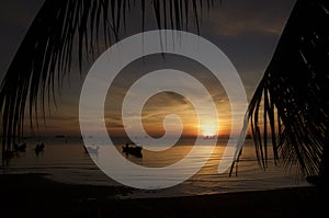 Tropical romantic paradise: sunset at the seaside - dark silhouettes of palm trees