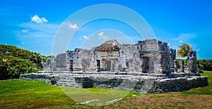 Tropical ruins of Mayas