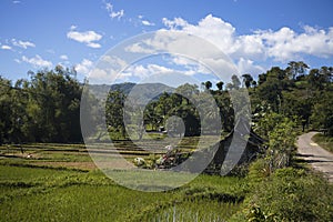 Tropical rural landscape with simple rustic hut. Mountain landscape with terrace rice fields.