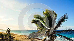 Beach on tropical island. Palm trees on ocean coast near beach.