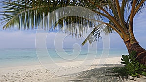 Tropical sand beach , South Ari Atoll , Maldives