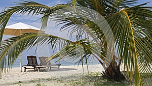 Tropical sand beach , South Ari Atoll , Maldives