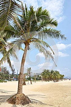 Tropical sandbeach