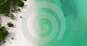 Tropical sandy beach and blue sea. Philippines