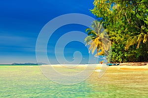 Tropical sandy beach overgrown green palm tree with clear sea water on background blue sky