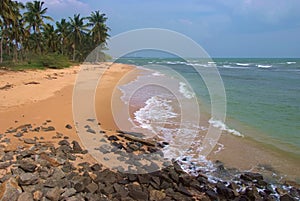 Tropical sandy beach with palm trees