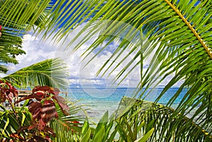 Tropical scene