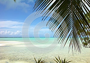 Tropical scene in Fiji with palm trees in the sunset by the ocean