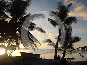 Tropical scene in Fiji with palm trees in the sunset by the ocean