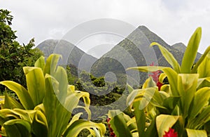 Tropical scene of Martinique mountains, Mount Pelee in the background, Lesser antilles.