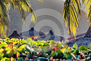 Tropical scene with straw beach umbrellas and lush vegetation.
