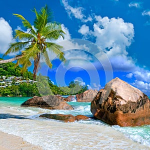 Tropical scenery