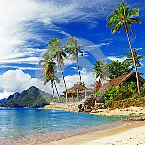 Tropical scenery
