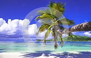 Tropical scenery