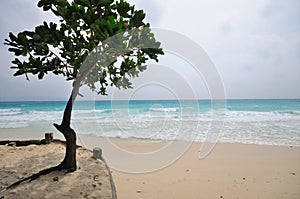 Tropical scenery of Boracay,Philippines