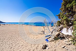 The tropical and scenic nudist beach of Agios Ioannis on Gavdos island. photo