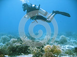 Tropical scuba diving adventure