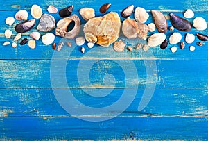 Tropical sea background. Different shells on the blue boards, top view. Free space for inscriptions. Summer theme