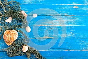 Tropical sea background. Different shells, old fishing net on the blue boards, top view. Free space for inscriptions. Summer theme