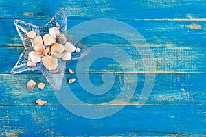 Tropical sea background. Different shells, in a starfish-shaped glass bowl on the blue boards, top view. Free space for