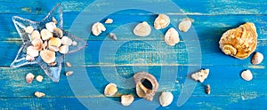 Tropical sea background. Different shells, in a starfish-shaped glass bowl on the blue boards, top view. Free space for