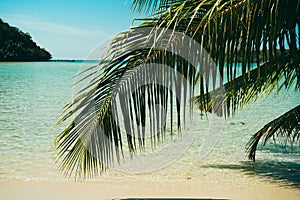 Tropical sea beach with sand and coconut tree. Island clear blue sky background at Koh Kood Island, Thailand. The leaves of palm