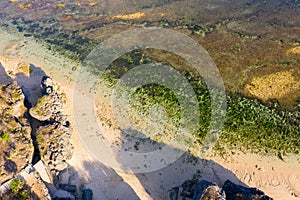 Tropical sea coral reef coastline with green seaweeds rocks at sunset. Bali