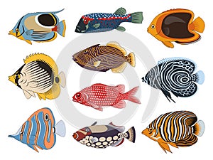 Tropical Sea Fishes Collection. 10 colorful vector cliparts isolated on white background