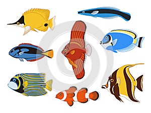 Tropical Sea Fishes Collection. Colorful vector cliparts isolated on white background