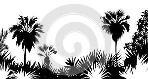 Tropical sea island Jungle with palm trees. Black silhouettes and contours on white background. Vector