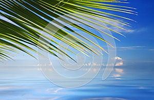 Tropical Sea with palm trees