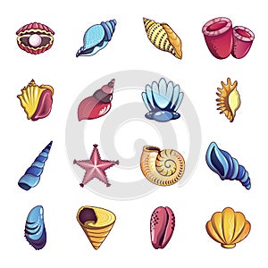 Tropical sea shell icons set, cartoon style