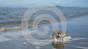 Tropical Sea Wave and beach with rock and sand