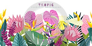 Tropical seamless border, hand drawn vector art