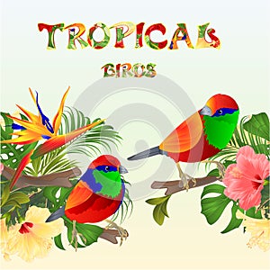 Tropical seamless border tropical birds Euplectes and tropical flowers pink and yellow hibiscus and Strelitzia palm,philodendro