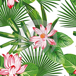 Tropical seamless composition pink lotus green leaves white background