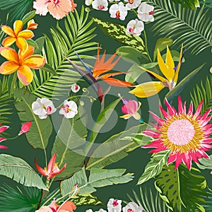 Tropical Seamless Floral Summer Pattern. For Wallpapers, Backgrounds, Textures, Textile, Cards.