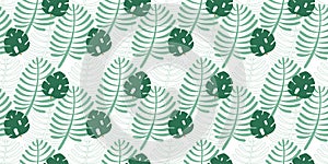 Tropical seamless pattern of abstract Monstera Deliciosa and palm leaves in green colors and contour plants on a white background.