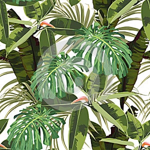 Tropical seamless pattern background with bright palm monstera leaves, ficus, jungle leaf.