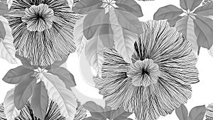 Tropical seamless pattern,  black and white flowers and umbrella tree on white background