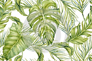Tropical seamless pattern. Exotic green banana, monstera and palm leaves composition. Hand drawn watercolor on white background.