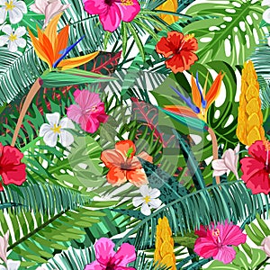 Tropical seamless pattern with flowers hibiscus, plumeria, strelitzia and palm, monstera leaves. Vector illustration.
